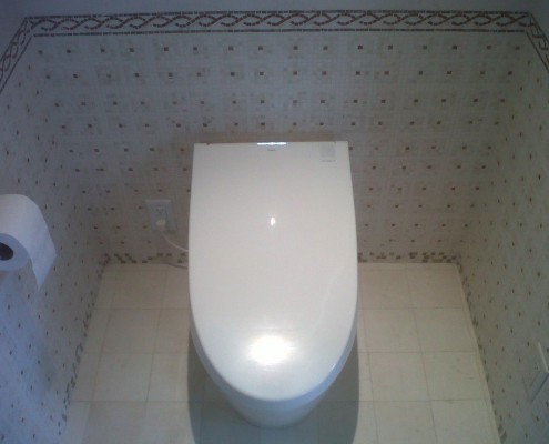 Toto Neorest 550 Elongated Bidet 1