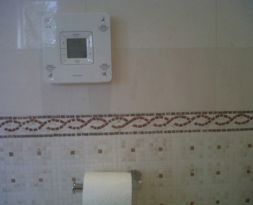 Toto Neorest 550 Wall Control 1