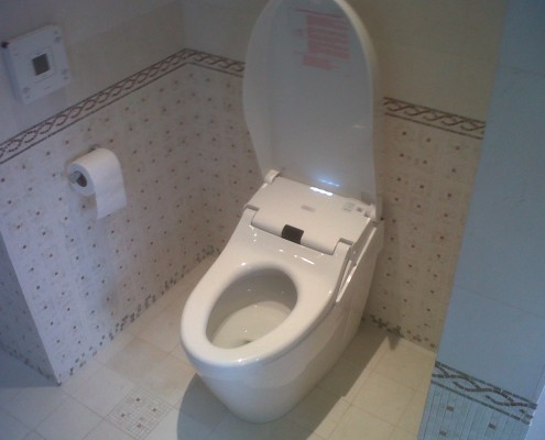 Toto Neorest 550 Elongated Bidet 2