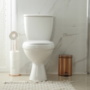 toilet in modern bathroom