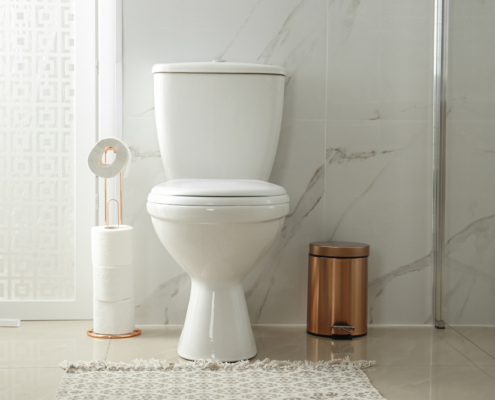 toilet in modern bathroom